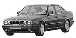 BMW E34 P1478 Fault Code